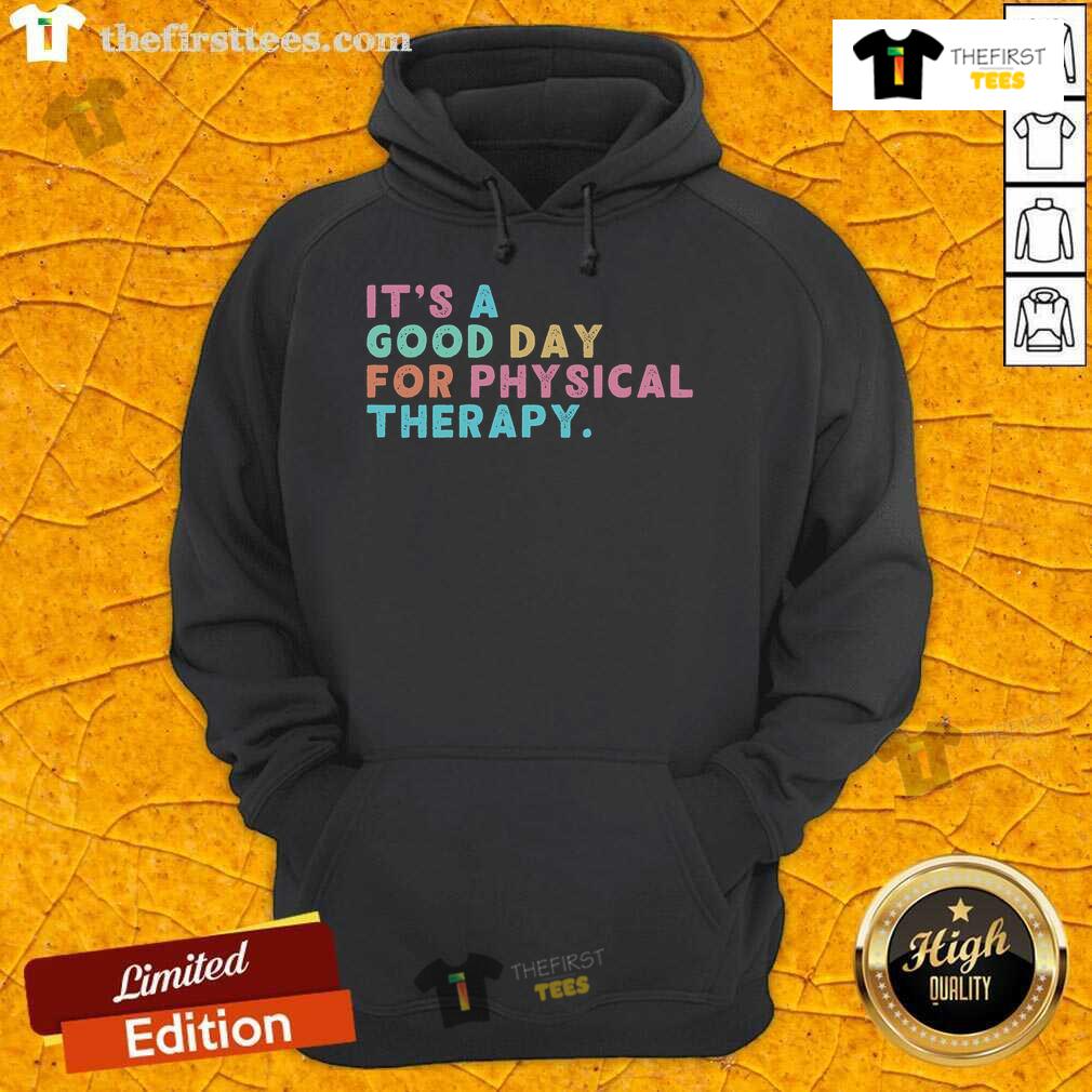 Nice A Good Day For Physical Therapy Pt Pta Physical Therapist Hoodie Comfortable hoodie for physical therapy professionals, featuring 'Nice-A-Good-Day-For-Physical-Therapy' design.