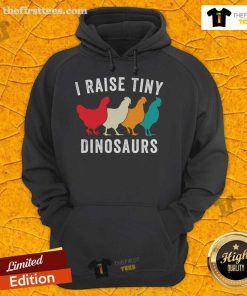 Cozy hoodie featuring 'Nice Chickens I Raise' design for chicken lovers and homesteaders, perfect for backyard chicken enthusiasts.