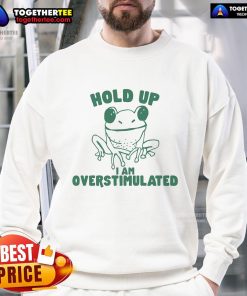 Nice Frog Hold On I Am Overstimulated sweatshirt design featuring a cute frog graphic, perfect for cozy casual wear.