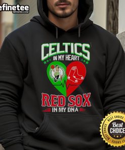 Official Celtics In My Heart Red Sox In My DNA Hoodie featuring vibrant team colors and logo, perfect for fans.