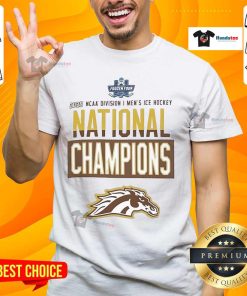 Alt Text: Official Champion Western Michigan Broncos Grey 2025 National Men's Hockey Champions T-Shirt displayed in locker room.