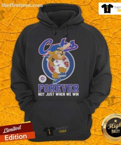 Official Chicago Cubs Forever hoodie featuring mascot design, perfect for fans celebrating team spirit all year round.