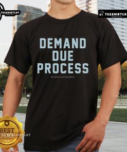 Official Demand Due Process Better South Better America T-Shirt featuring bold text and a vibrant design for advocacy.