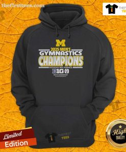 Official Michigan Wolverines 2025 Big Ten Men's Gymnastics Tournament Champions hoodie in navy blue with team logo.