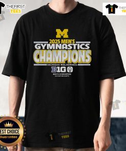 Official Michigan Wolverines 2025 Big Ten Men's Gymnastics Tournament Champions T-Shirt featuring team logo and design.