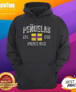 Official Penuelas City hoodie featuring the Puerto Rico flag, established 1793, showcasing local pride and style.