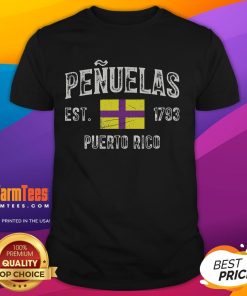 Official Peuelas City T-Shirt featuring Puerto Rico flag, established 1793, showcasing local pride and heritage.