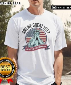 Premium Are We Great Yet Cause I Just Feel Embarrassed Statue Of Liberty T-Shirt design featuring iconic statue graphic.