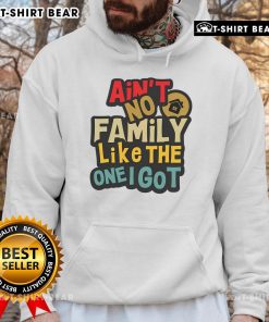 Top Ain't No Family Like The One I Got Funny Family Reunion Hoodie showcasing a playful design for family gatherings.