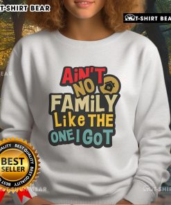 Funny family reunion sweatshirt featuring 'Ain't No Family Like The One I Got' design in vibrant colors.