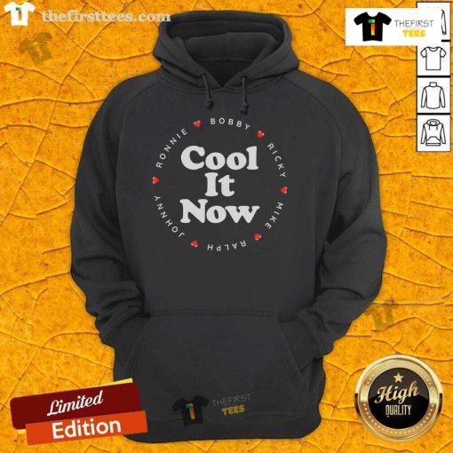 Stylish Top Cool It Now hoodie featuring Ronnie, Bobby, Ricky, Mike, Ralph, and Johnny for fans of 90s music nostalgia.
