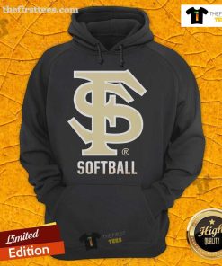 Top Florida State Seminoles Softball logo hoodie featuring vibrant team colors and stylish design for fans.