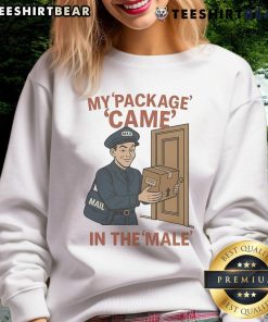 Alt Text: Top My Package Came In The Male Mail sweatshirt design featuring humorous text on a cozy gray background.