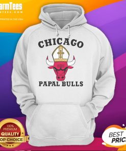Stylish Awesome Chicago Papal Bulls Hoodie in vibrant colors, perfect for fans showcasing their team spirit.