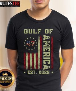 Alt Text: Awesome Gulf Of 'Merica US Flag Patriotic T-Shirt, Est 2025, showcasing vibrant colors and a bold design.