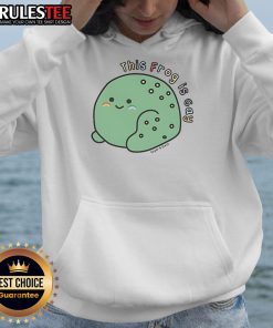 Alt Text: Cute frog wearing a 'This Frog Is Gay' hoodie from Sugar and Sloth, showcasing vibrant colors and playful design.