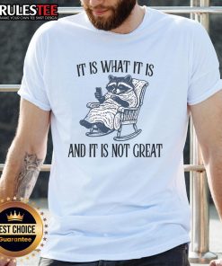 Funny It Is What It Is And It Is Not Great Raccoon T-Shirt