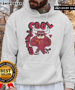 Good Chicago Bulls Stadium Essentials NBA X Staycool mascot hoodie in vibrant colors, perfect for fans and stylish comfort.