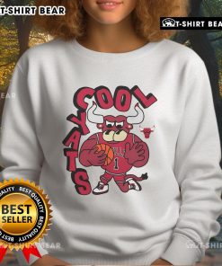 Good Chicago Bulls Stadium Essentials NBA X Staycool mascot sweatshirt featuring vibrant team colors and stylish design.