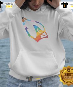 Stylish Nice Arizona Cardinals Pride Logo Hoodie featuring vibrant team colors and logo, perfect for fans and game day.