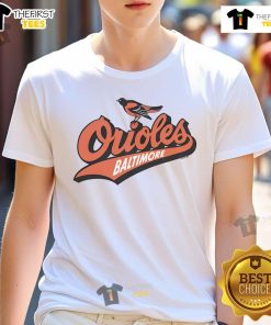 Nice Baltimore Orioles Homage Gray Hyper Local T-Shirt featuring a stylish design for fans of the MLB team.