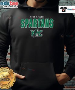 Nice Champion York College Spartans hoodie in navy blue, showcasing team spirit and stylish comfort for fans and students.
