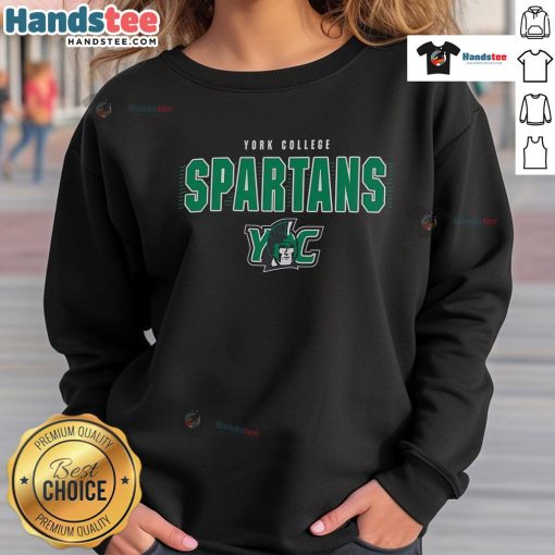 Nice Champion York College Spartans sweatshirt in navy blue, featuring the college logo and comfortable fit for fans.