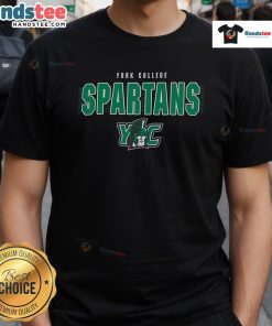 Nice Champion York College Spartans T-Shirt featuring the team logo, perfect for fans and casual wear.