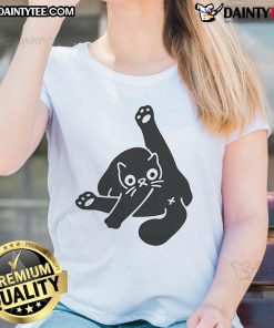 Alt Text: Cute 'Nice Ok Super Day' cat butt design on a ladies tee, perfect for cat lovers and fun casual wear.