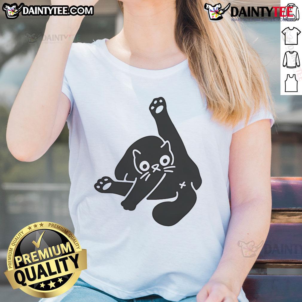 Nice Ok Super Day Cat Butt Ladies Tee Alt Text: Cute 'Nice Ok Super Day' cat butt design on a ladies tee, perfect for cat lovers and fun casual wear.