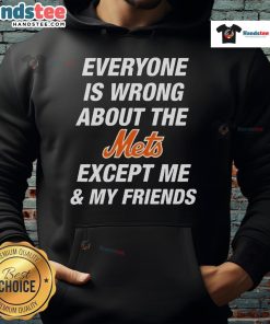 Official Everyone Is Wrong About The Mets Except Me My Friends Hoodie in navy blue, featuring bold text design.