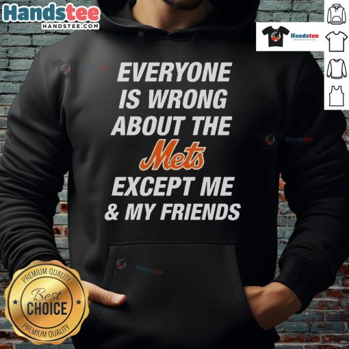 Official Everyone Is Wrong About The Mets Except Me My Friends Hoodie in navy blue, featuring bold text design.