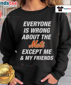 Cozy 'Everyone Is Wrong About The Mets Except Me & My Friends' sweatshirt in vibrant colors, perfect for Mets fans.