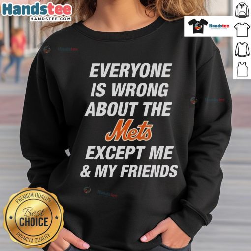 Cozy 'Everyone Is Wrong About The Mets Except Me & My Friends' sweatshirt in vibrant colors, perfect for Mets fans.