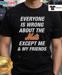 Alt Text: Official Everyone Is Wrong About The Mets Except Me & My Friends T-Shirt featuring bold text and a stylish design.