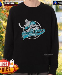 Official Huntsville Channel Cats sweatshirt featuring team logo and colors, perfect for fans and casual wear.