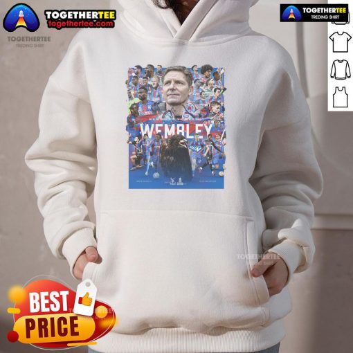 Alt Text: Junior Crystal Palace F.C. FA Cup Finalists 2025 hoodie displayed at Wembley, showcasing team spirit and style.