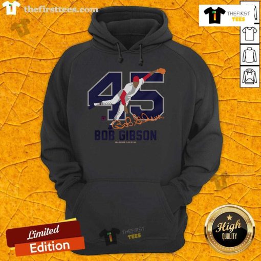 Premium Teambrown Bob Gibson Baseball Hall of Fame Member signature hoodie displayed on a mannequin.