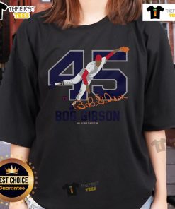 Alt Text: Premium Teambrown Bob Gibson Baseball Hall of Fame Member Signature Ladies Tee featuring classic design and vibrant colors.