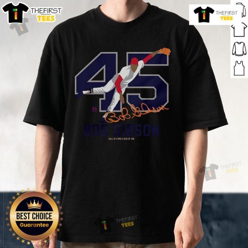 Alt Text: Premium Teambrown Bob Gibson Baseball Hall Of Fame Member Signature T-Shirt featuring iconic player autograph design.