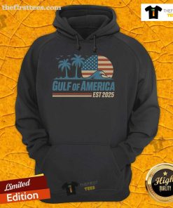 Retro vintage beach wave hoodie featuring the Pretty Gulf of America design, perfect for seaside adventures in 2025.