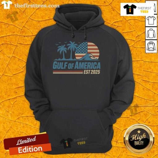 Retro vintage beach wave hoodie featuring the Pretty Gulf of America design, perfect for seaside adventures in 2025.