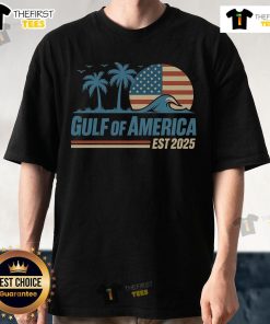 Retro vintage beach wave T-shirt featuring 'Pretty Gulf Of America Est 2025' design, perfect for summer vibes.