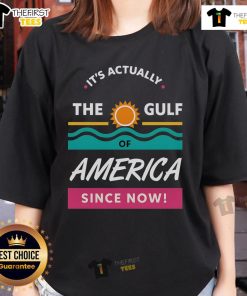 Stylish ladies tee featuring 'Pretty, It's Actually The Gulf Of America' design, perfect for casual wear and coastal vibes.