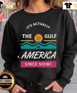 Cozy sweatshirt featuring 'Pretty, It's Actually The Gulf Of America' design, perfect for casual style and coastal vibes.