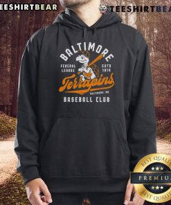 Vintage Baltimore Terrapins Maryland baseball hoodie featuring classic design and bold team colors.