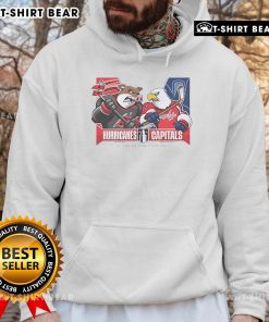 Alt Text: Dallas Stars vs. Carolina Hurricanes 2025 Eastern Conference Semi-Finals mascot hoodie featured in vibrant colors.