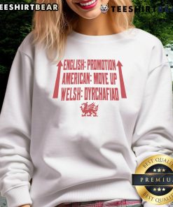 Top Wrexham AFC promotion sweatshirt featuring the club logo and bold design, perfect for fans celebrating their team's success.