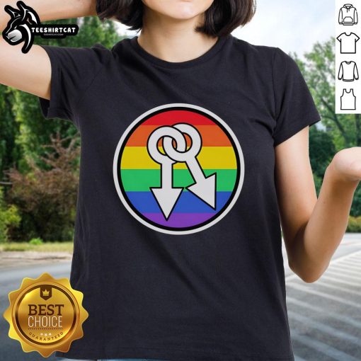 Hot Male Symbols Rainbow Ladies Tee