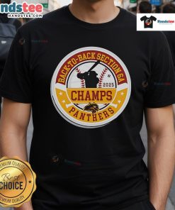 Alt Text: Official Panther Baseball 2025 Section Champions T-Shirt celebrating back-to-back Section 6A victories.